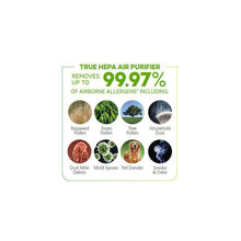 Load image into Gallery viewer, Holmes True HEPA Smart WEMO Enabled Air Purifier