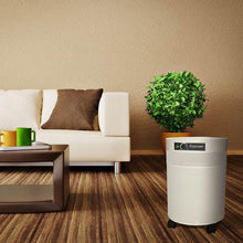 Load image into Gallery viewer, Airpura F600DLX HEPA Air Purifier