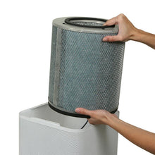 Load image into Gallery viewer, Austin Air HealthMate Air Purifier