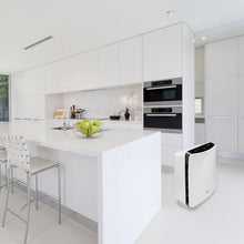 Load image into Gallery viewer, Winix FresHome P150 HEPA Air Purifier
